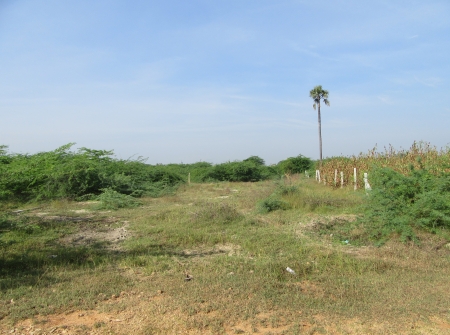 3) 600 Ankanams Land for Sale Near Tirupati - Bangalore Highway Road.JPG